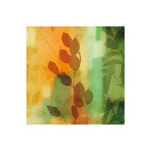 Stampa su Tela su Carta Poster o Quadro Donovan Chris Natures Glow II - Picture 1 of 2