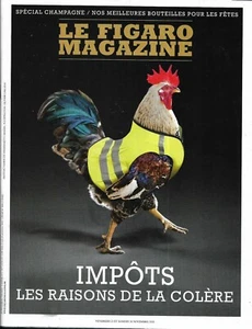 LE FIGARO MAGAZINE n°23104 23/11/2018 Impôts: la colère_Jean d'Ormesson_Goulags - Imagen 1 de 1