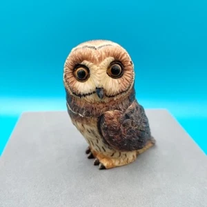 Harmony Ball Pot Bellys Short Ear Owl Mini Hidden Compartment Animal Figurine - Picture 1 of 13