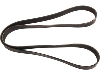 Cinturón multi costilla para camión Sterling L8500 2005-2006 34127RWYD Foto 1 de 2