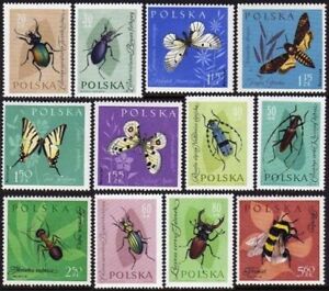 Poland 1029-1040, hinged. Mi 1277-1288. Insects 1961. Butterflies, Beetles, Moth