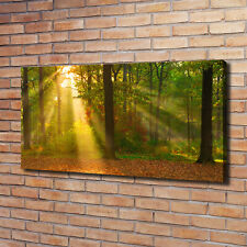 Arte de La Pared Pintura en Lienzo Decoración de Salón 120x60 Bosque al sol