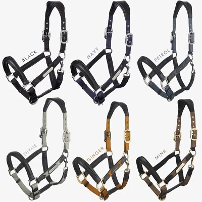 LeMieux Capella weicher breiter ergonomischer Druckentlastung gepolsterter Leder-Kopfkragen