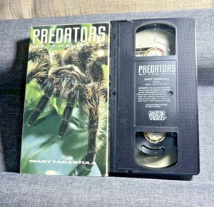 Predators of the Wild Giant Tarantula Vintage VHS 1993 Time Life Video Spiders - Picture 1 of 5