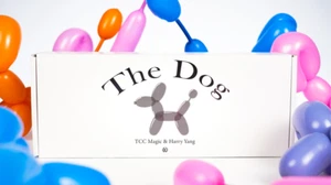 The Dog by TCC Magic & Harry Yang - Trick - Picture 1 of 5