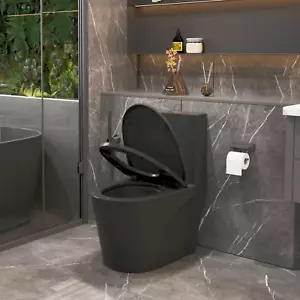 1.6/1.1 GPF Dual-Flush Toilet, Elongated Comfort Height, Soft-Close Seat, Matte - Picture 1 of 22