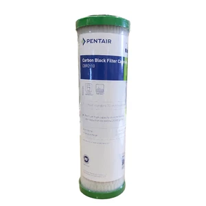 Pentek CRB2-10 Carbon Block Filter Cartridge (155268-43) for UV Systems 10" - Picture 1 of 2