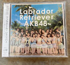 AKB48 Labrador Retriever Brand New Japanese Import, USA Seller