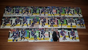DEL 12-13 2012-2013 EHC Eisbären Berlin Teamset (25 Karten) 