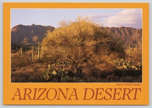 Postcard Palo Verde Tree Arizona Desert Scene - Jerry Jacka - Picture 1 of 2