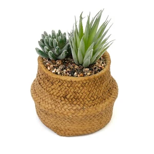 Composizione Piante di Cactus Artificiali Rattan Effetto Tessuto Cesto Paglia Vaso Cemento - Foto 1 di 4