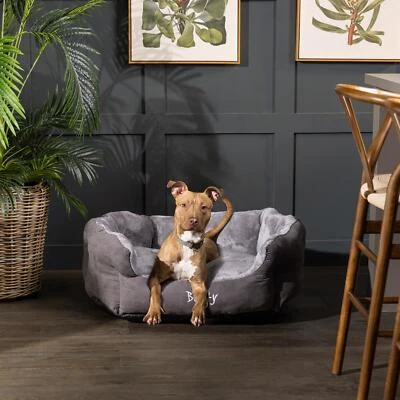 Bunty Dog Bed Cat Beds Soft Washable Fleece Removable Puppy Cushion Pet Sofa - Image 1 of 2