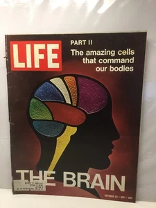 Life - October 22, 1971 The Brain Part II The Amazing Cells That Command Bodies - Bild 1 von 1