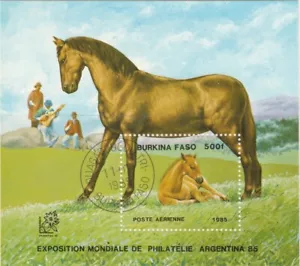 Burkina Faso 1985 Equestrians Foal Horses Sheet Used 11882 - Picture 1 of 1