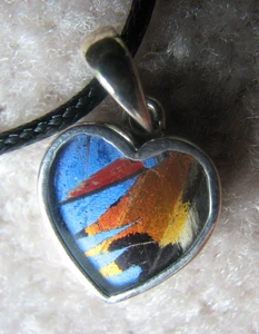 Collana con ciondolo Nugent Jewelry New Hampshire argento 99,8% ala di farfalla Perù - Foto 1 di 5