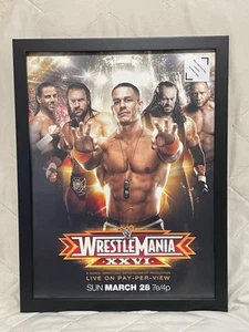 GERAHMTES 12x16 WWE Poster - Wrestlemania XXVI Cena, HHH, Taker, Shawn, Bautista NEU - Bild 1 von 4