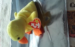 •	Quacker Duck Beanie Baby   Original Beanie Baby - Picture 1 of 2
