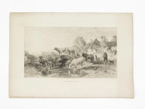 P. Moran "The Homeward Herd" Etching Print 1891 Copyrighted by Gebbie & Co. - Picture 1 of 9