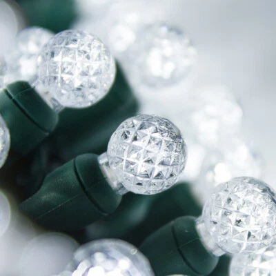 G12 LED Globe Christmas String Lights Raspberry Indoor Outdoor Tree Ball Lights - Image 1 of 4