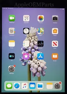 Mint 100% Apple Original iPad Mini 1st Generation 7.9” A1432 A1454 A1455 - Picture 1 of 2
