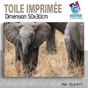 50x30cm - Stoff Bedruckte- Bild Plakat Deko - Elefant Felin - EL9-01T - Bild 1 von 1