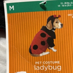 New Red Ladybug Costume For Pet with Hat Size Medium M Dog Cat Halloween - Picture 1 of 7