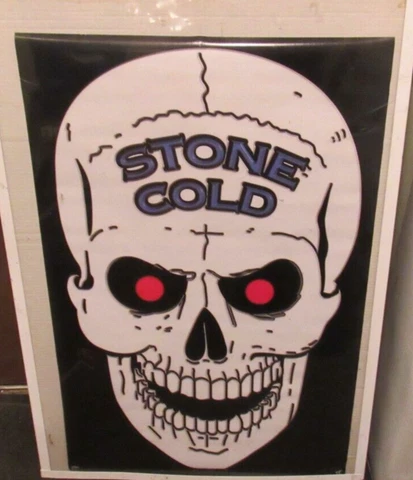 SKULL POSTER NEW 1998 VINTAGE COLLECTIBLE WCW WWE NWO WRESTLING STEVE AUSTIN WWF Cover