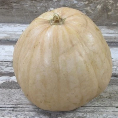 Pumpkin UPPER GROUND SWEET POTATO-Pumpkin Seeds-GREAT MIX OF FLAVOURS-15+ SEEDS. - image 1 of 2