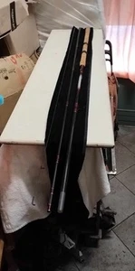 Daiwa Canna Pesca Inglese Team Daiwa Mario Molinari 13'(390cm) 2-12gr - Foto 1 di 7