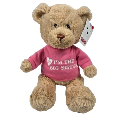 Gund I'm the Big Sister Bear Peluche Rosa 12” Camiseta Peluche Lovey Foto 1 de 4