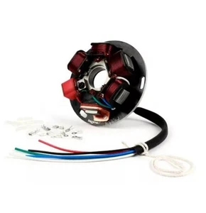 STATORE MAGNETE VOLANO 3 + 2FILI BGM PRO V2.5 VESPA PX 125 150 200 TUTTI MODELLI - Foto 1 di 1