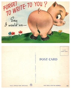 Humor Forget to Write to You? Pig Comic Vintage PC - Picture 1 of 1