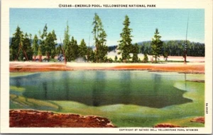 Emerald Pool, Yellowstone National Park, Montana WY Vintage Postcard UNP Haynes - Picture 1 of 2