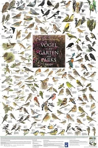 Poster "Vögel aus den Gärten und Parks Europas" - Bild 1 von 3