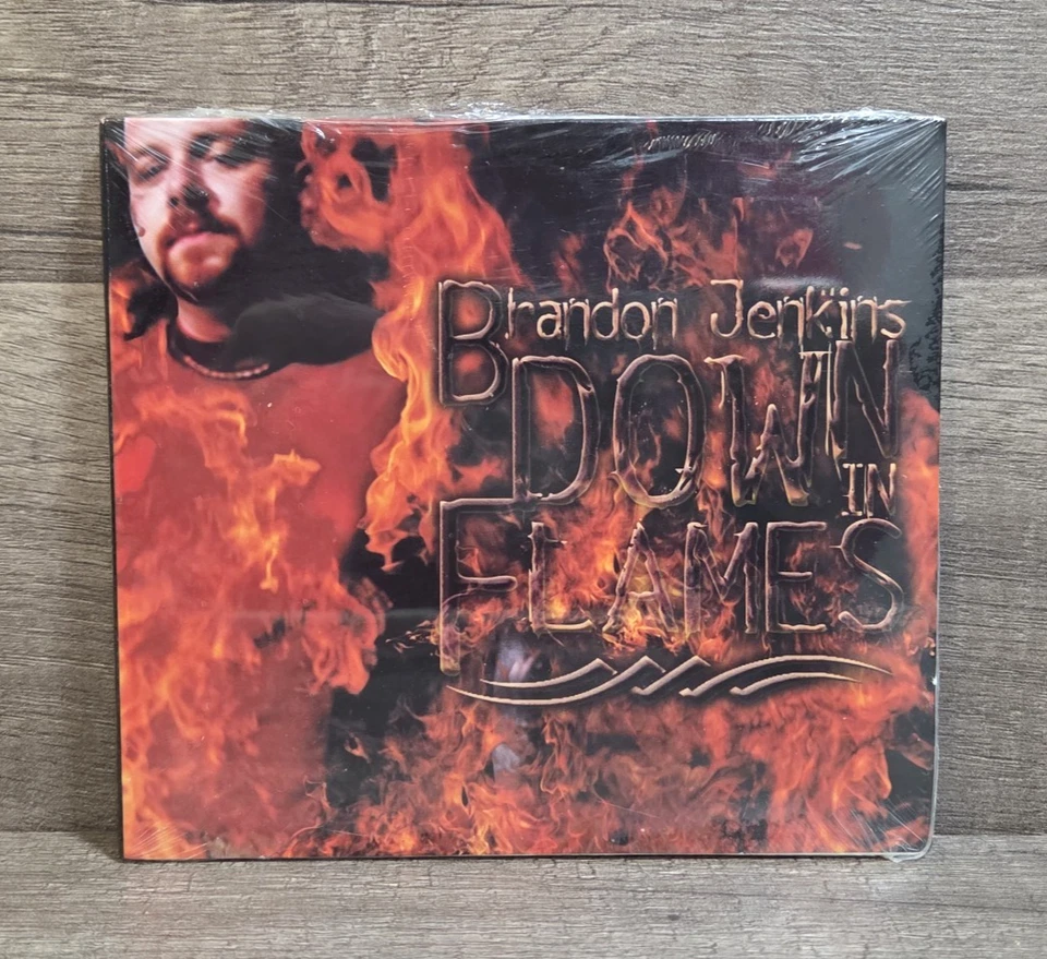 Sealed-Rare-Brandon Jenkins-Down In Flames-Rock CD-2004 WSR 8253462868 - Image 1 of 3