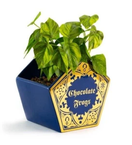 ~ Harry Potter Planter ~ Chocolate Frogs Planter ~ - Picture 1 of 1