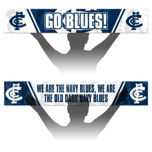 Team AFL Footy Banner Flag 133cm x 20cm - Picture 1 of 11