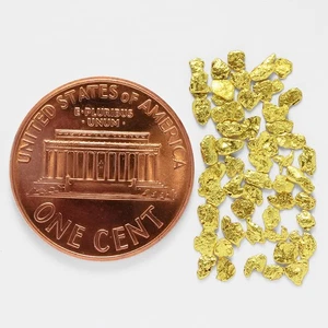 0.7989 Gram Alaska Natural Gold Nuggets --- (#79785-14) - Alaskan Gold Nuggets - Picture 1 of 1