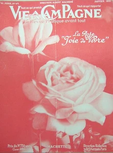 LA VIE à la CAMPAGNE 1950 FLEURS ROSES MAISON FAMILLE NOMBREUSE MOUTONS POUSSINS - Picture 1 of 2