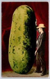 Exaggeration Postcard Mitchell Young Man With A Large California Watermelon - Picture 1 of 2