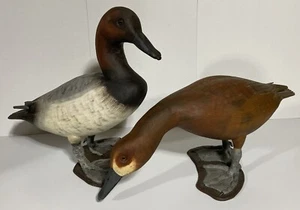 Pair Of 1981 Canvasback Duck Decoys by Robert D. Funke Havre DeGrace Maryland - Picture 1 of 16