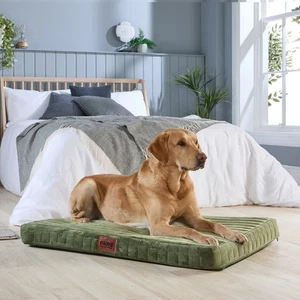 Paws for Slumber Orthopedic Large Pet Bed, Olive Green - Picture 1 of 10