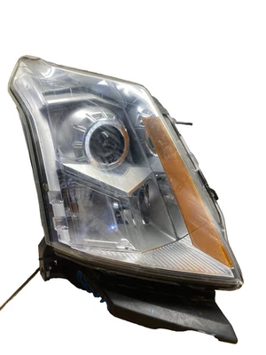 Lámpara halógena del lado derecho del pasajero #A81 OEM 2010-2016 Cadillac SRX RH Foto 1 de 4