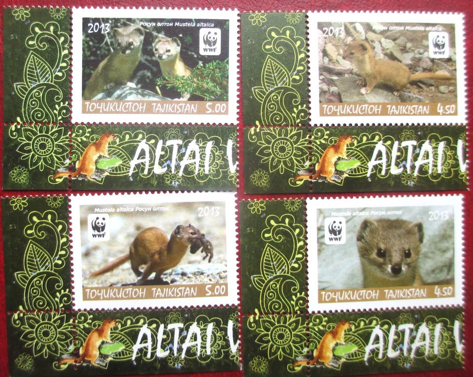 Tayikistán 2013 WWF Fauna Animales Comadreja Altay 4 V esquina MNH Foto 1 de 1