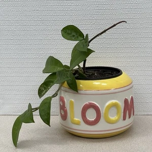 BLOOM Ceramic Planter Flower Pot - Picture 1 of 13