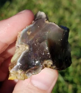 MINE DE BONANZA EN BOIS OPALE VIRGIN VALLEY, NEVADA 298 CARATS #D26 - Photo 1 sur 9