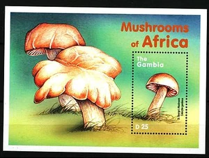 GAMBIA - BF - 2000 - Funghi - Prugnolo ("Calocybe gambosa") - Imagen 1 de 1