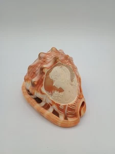 Antique Victorian Cameo Engraved Bullmouth Red Helmet Shell - Picture 1 of 11