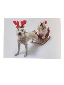 Trimmerry 16 Reindeer Dog Pulls Santa Puppy Sleigh Ride Holiday Christmas Cards - Picture 1 of 1