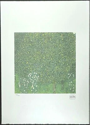 GUSTAV KLIMT * 50 x 70 cm * signed lithograph * limited # 36/200 - Bild 1 von 4